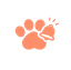 DalyPaw